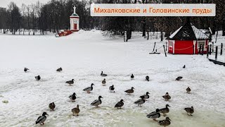 Михалковские и Головинские пруды