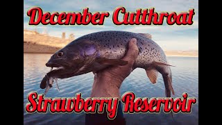 December Cutthroat at Strawberry Reservoir