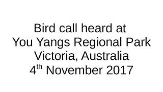 Bird call at You Yangs Regional Park, Victoria, Australia 4th November 2017