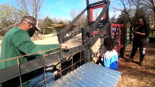 working goats in #DIY goat corral #goats #corral #farm #ranch #homestead #kiko #spanish #boer