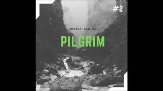 Pilgrim - Amanda Zabii