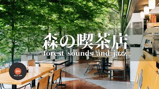 環境音+JAZZ 優しい森の喫茶店  森の中の音 リラックスジャズBGM  CAFE MUSIC - 作業用BGM