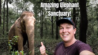 Elephants & Dolphins in Cambodia! // Kratie to Mondulkiri