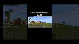 Placing 1 Block Everyday Day 88