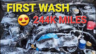 Wash Subaru Forester Engine Bay 244K Miles with GUNK Engine Degreaser & Cleaner Foamy.