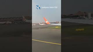 Lion Preparing for Take Off #trending #aeroplane #fyp #youtubeshorts