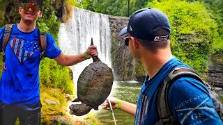 Fish, Snakes and Snapping Turtles in an Ohio river waterfall!