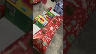 Border Collie helps wrap Presents (Posing at the end )  🎁 🎄🤶🎅 knott_family_adventures