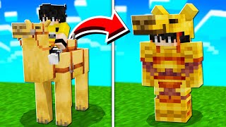 Minecraft'ta YARATIKLAR ZIRHLARA EVRİMLEŞTİ!!