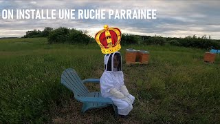 Installation d'une ruche parrainée