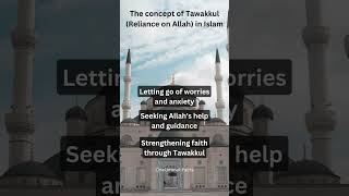 Concept of Tawakkul (Reliance on Allah) in Islam. #shorts