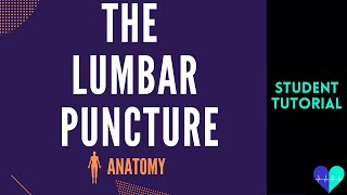 The Lumbar Puncture - Anatomy Tutorial