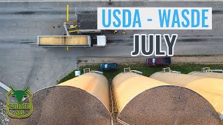 USDA WASDE - July 2022