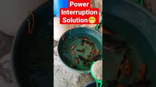 HOW TO SAVE YOUR FISH..POWER INTERRUPTION SOLUTION👍