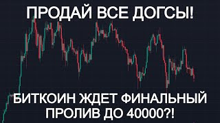 СРОЧНО ПРОДАВАЙ ВСЕ СВОИ ДОГСЫ И НОТКОИН! (хамстер комбат hamster combat notcoin биткоин прогноз)