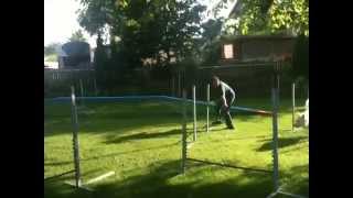 YARI Agility Training