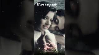 mere rang main / #shorts #shortsfeed #shortsviral #shorts2023 #viralvideo #youtubeshorts #song