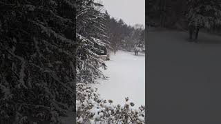 Noreaster winter snow in Connecticut #travel #newengland #snow #snowday