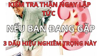 10 Biểu Hiện Cảnh Báo Thận  Bạn Cần Kiểm Tra Ngay