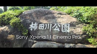 沼津 千本松公園 柿田川公園 源兵衛川 | Sony Xperia 1 II Cinema Pro