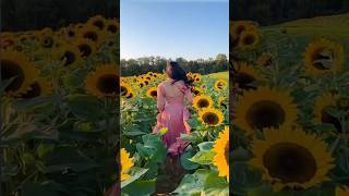 TISEM IDINJAH GO || 2024 NEW SANTALI ROMANTIC STATUS VIDEO INSTAGRAM FACEBOOK WHATSAPP STATUS VIDEO.