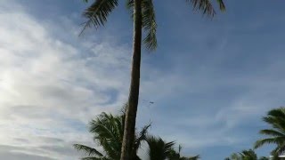 2016.02.16 B-52 Andersen Air Force Base, Guam from Gun beach