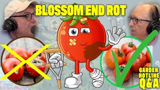 Doug's Got Tomato Trouble!!! | Garden Hotline Q&A | Blossom End Rot