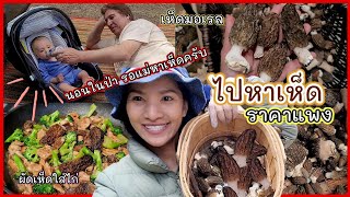 หาเห็ดต่อ ยกทั้งครอบครัวไปหาเห็ด ผัดเห็ดใส่ไก่อร่อยๆ /ชีวิตเมืองนอก