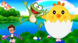 THE FROG AND THE LITTLE CHICK |KID STORY AND SONG|