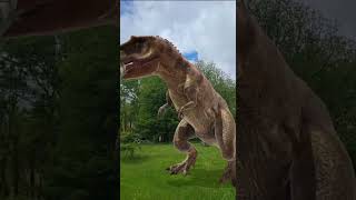 Jurassic Month Special: Ceratosaurus.