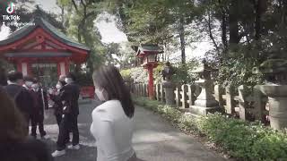 Fushimi Inari, Kyoto, Japan, 伏見稲荷大社