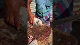 Master Fast Fish Cutting Skills Huge Thilapia Fish Cutting #shorts