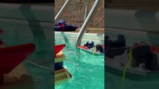 Elephant Mario Plush Pool Party! [WATCH FULL VIDEO] #marioplush #poolparty#funny #shorts