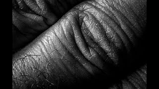 Black And White Macro Photography Of The Hand - MacroWorld