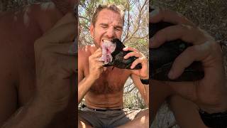 ISLAND SURVIVAL: Eating A Raw Fish Head