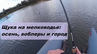 Ловля щуки на мелководье: воблеры, осень и город