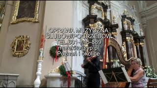 Enya-only time-skrzypce na pogrzeb,slub-601-715-889-wielkopolskie-Poznań-oprawa muzyczna-skrzypek