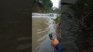 mancing  spott kopisusu