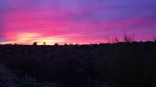 Sunset in Tucson (with Birds Darting and Chirping)