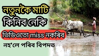 নতুনকৈ মাটি কিনিবলৈ ওলাইছে যদি ভিডিওতো চাব এবাৰ। Land purchase process ।