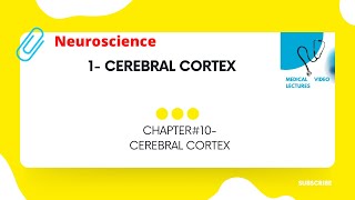 Cerebral cortex | CHAPTER#10- CEREBRAL CORTEX.