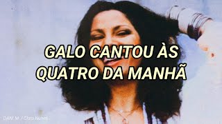 Clara Nunes - Na Linha do Mar (Galo Cantou) / Letra