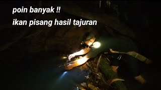 Najur Malam Dapat Banyak ikan Pisang