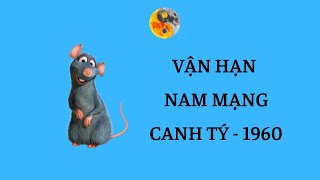 Nam Canh Tý 1960 - Tử Vi & Vận Hạn 6 Tháng Đầu Năm Nhâm Dần 2022