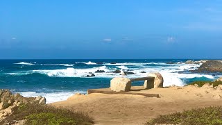 17 mile drive | California 1 | Best scenic drives in the world | Pacific grove | Pebble beach | USA