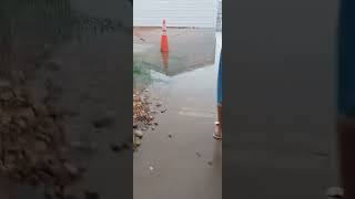 flood in my front yard