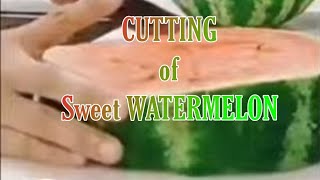 🌈🌈🌈Let's cut so sweet watermelon🍉🍉🍉 #asmr #delicious