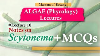 Lecture 10 | Scytonema Life Cycle + MCQs (Cyanophyceae) | Algae Lecture Notes