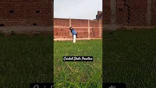 Cricket Shots Practice #viral #cricket #shot #cricketer #batting #cricketshorts #cricketlover #shots