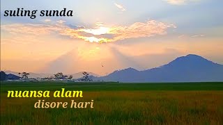 pemandangan alam sawah dan gunung di sore hari#suasanapedesaan #pemandanganalam #sulingbambu